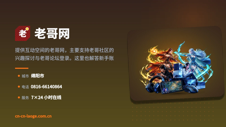 老哥网概况